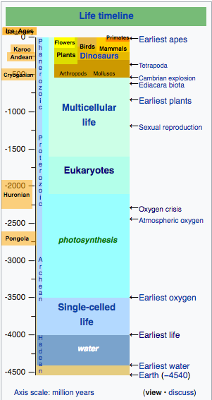 Life timeline from Wikipedia